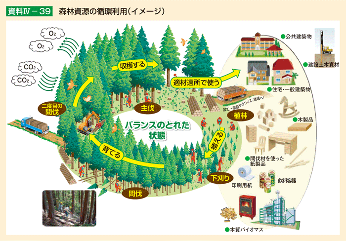 資料IV-39 森林資源の循環利用（イメージ）