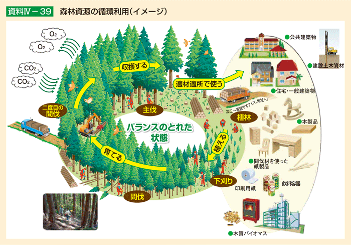 資料IV-39 森林資源の循環利用(イメージ)