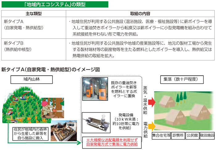 「地域内エコシステム」の類型