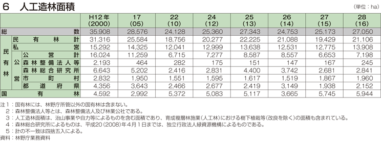 6 人工造林面積