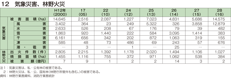 12 気象災害、林野火災
