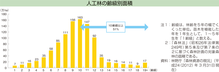 人工林の齢級別面積