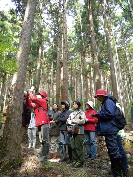 立木の計測の実習