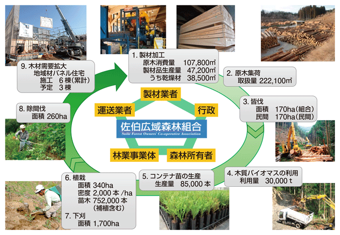 佐伯型循環林業の概要