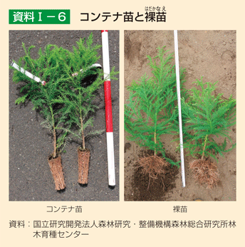 資料1-6 コンテナ苗と裸苗