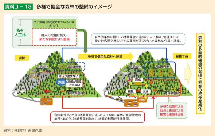 資料2-13 多様で健全な森林の整備のイメージ