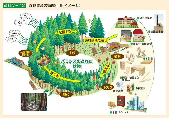 資料4-42 森林資源の循環利用（イメージ）