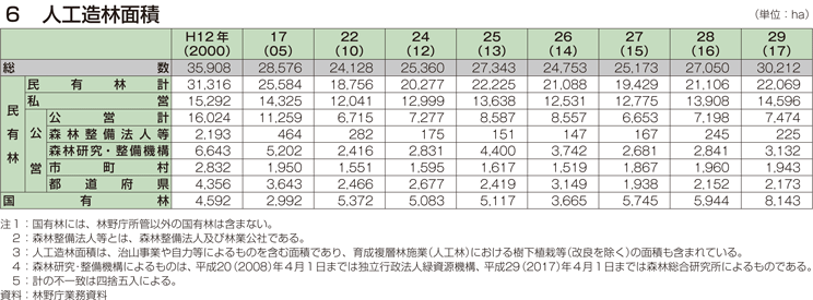 6 人工造林面積