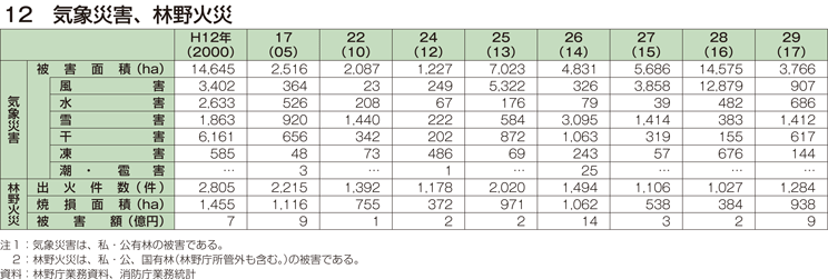 12 気象災害、林野火災