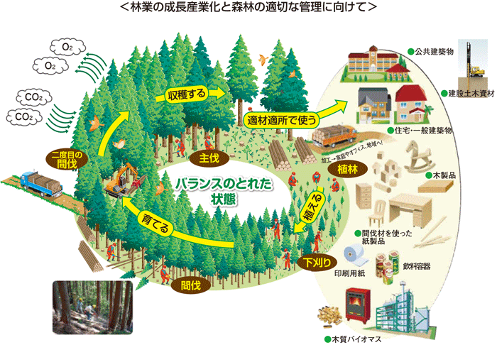 林業の成長産業化と森林の適切な管理に向けて