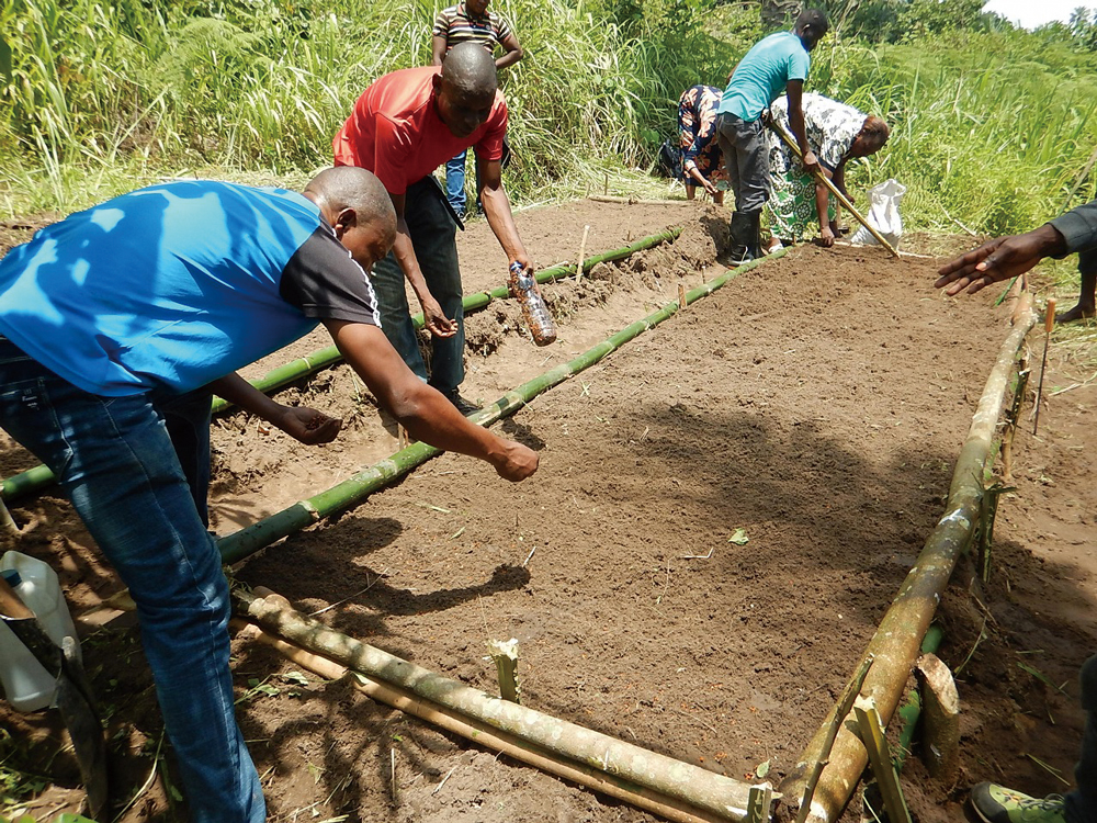 アグロフォレストリーのための苗畑を作る地域住民