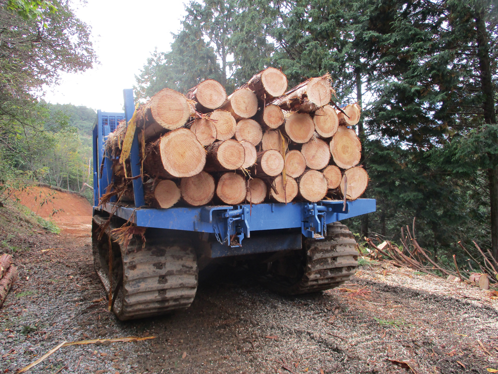 森林共同施業団地内での民有林材搬出の様子（民国連携システム販売）