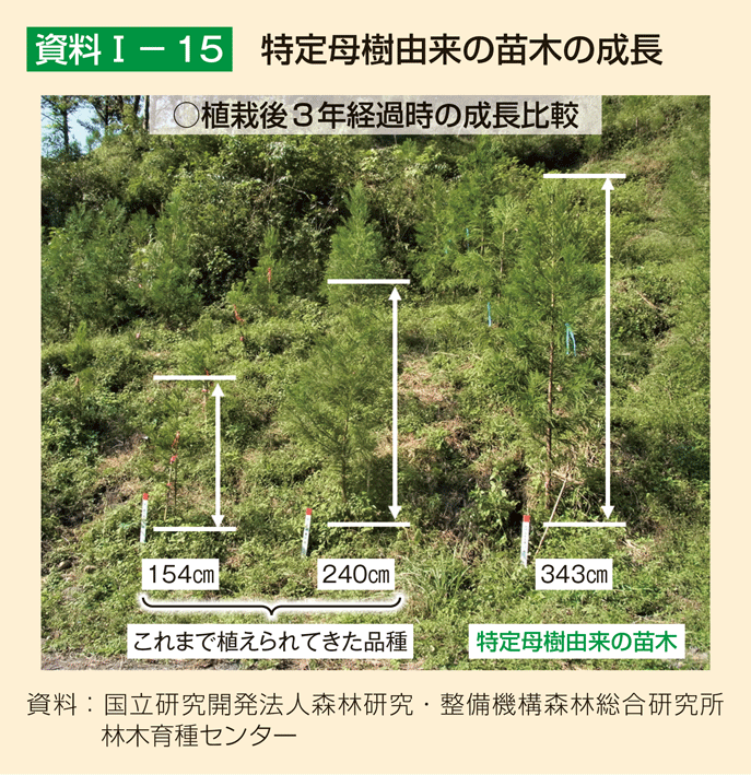 資料1-15 特定母樹由来の苗木の成長