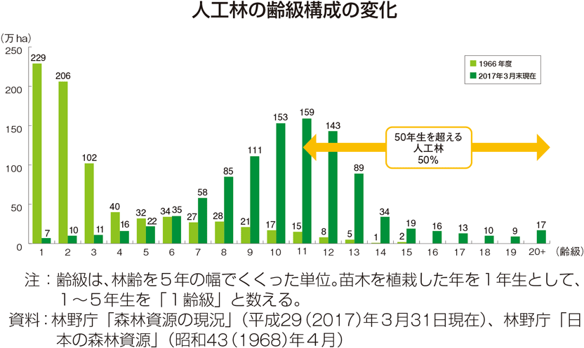 人工林の齢級構成の変化