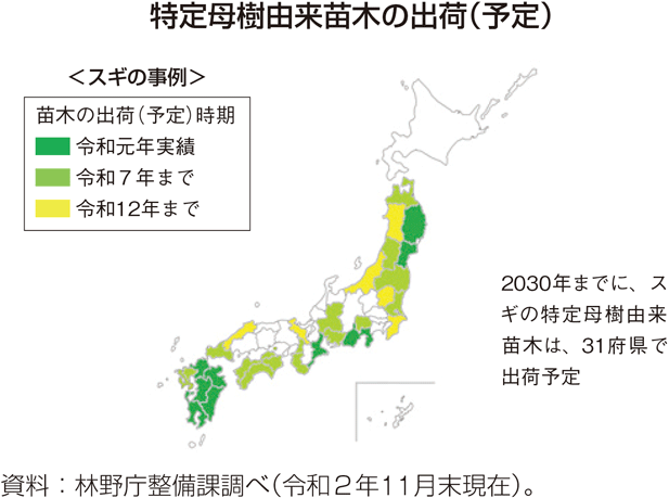 特定母樹由来苗木の出荷（予定）