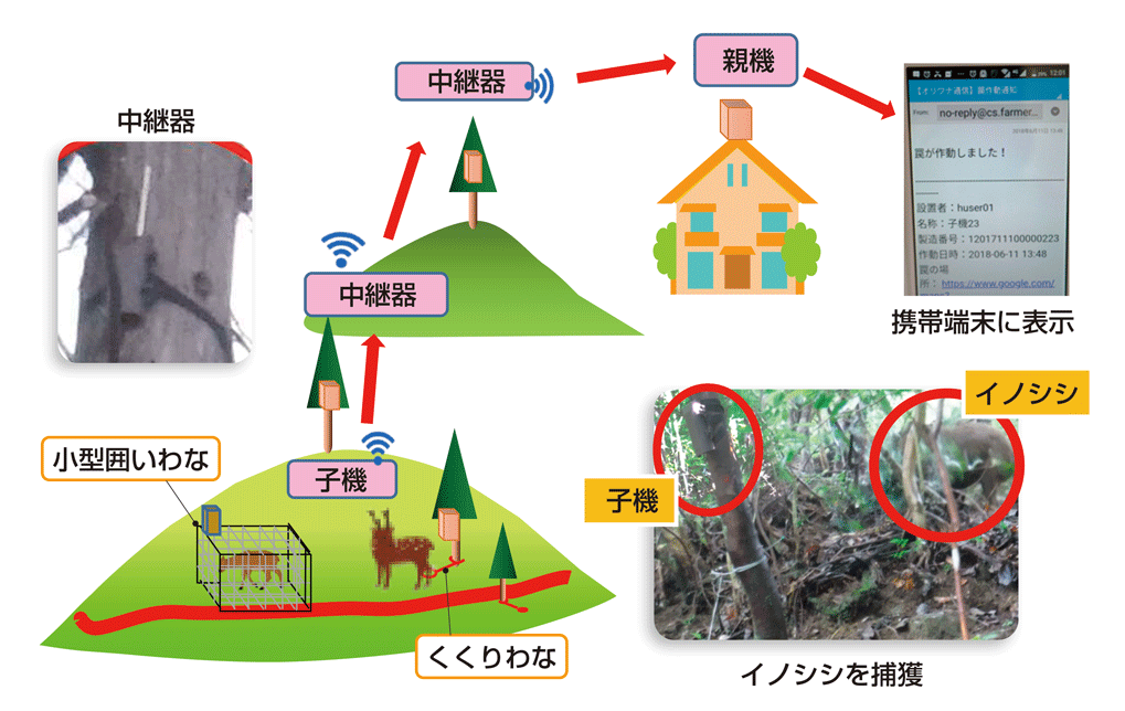 IoTを活用した捕獲通知システムのイメージ