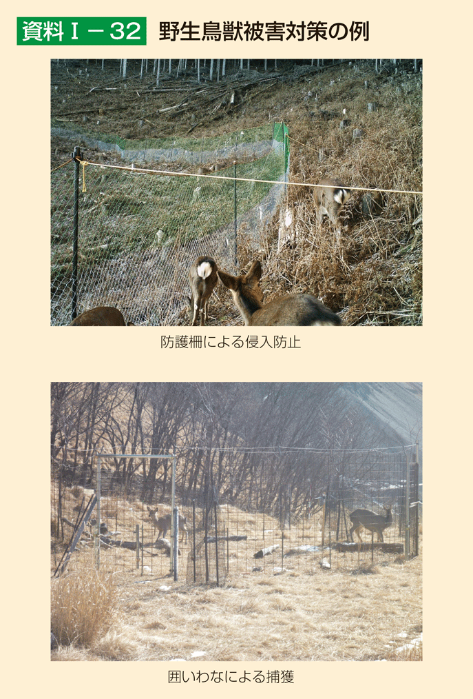 資料1-32 野生鳥獣被害対策の例