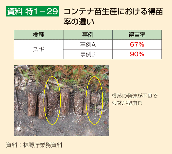 資料 特1-29 コンテナ苗生産における得苗率の違い