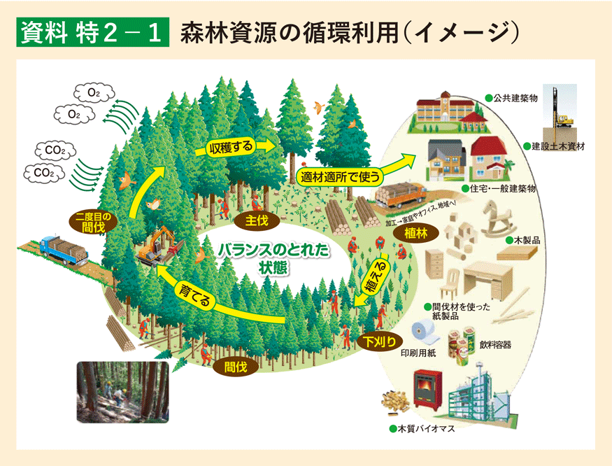資料 特2-1 森林資源の循環利用（イメージ）