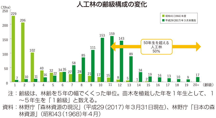 人工林の齢級構成の変化