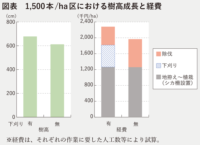 図表 1,500本/ha区における樹高成長と経費