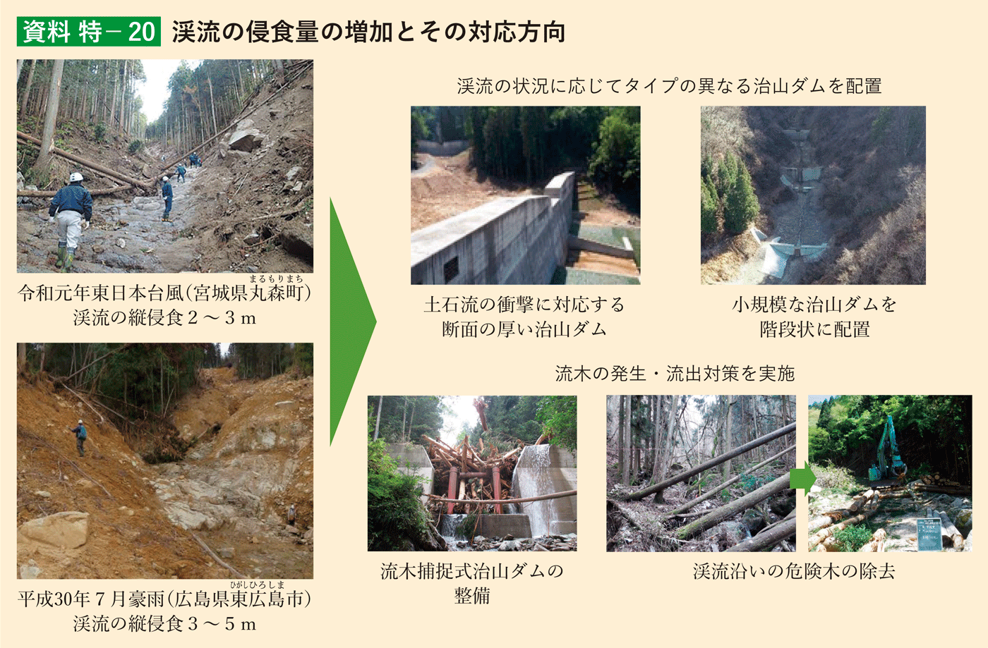 資料 特-20 渓流の侵食量の増加とその対応方向