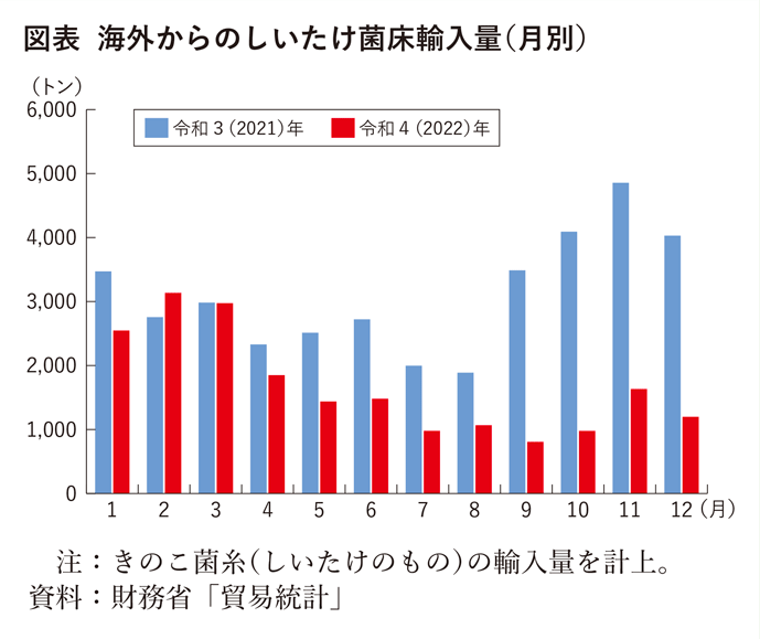 図表 海外からのしいたけ菌床輸入量（月別）