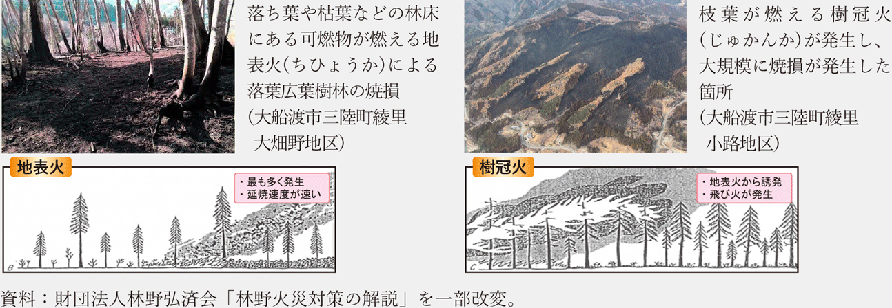 林野火災対策の解説