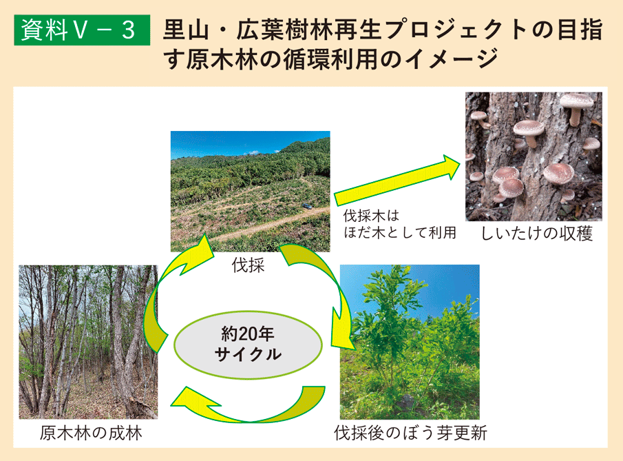 資料5-3 里山・広葉樹林再生プロジェクトの目指す原木林の循環利用のイメージ