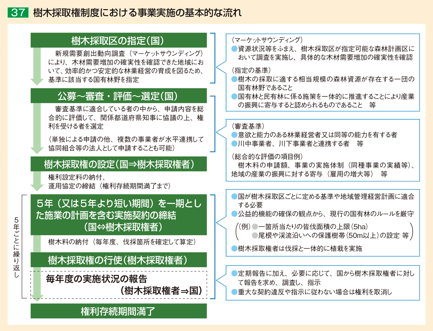 37 樹木採取権制度における事業実施の基本的な流れ