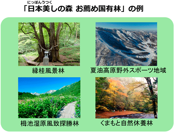 「日本美しの森 お薦め国有林」の例