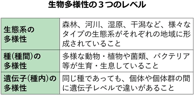 生物多様性の3つのレベル