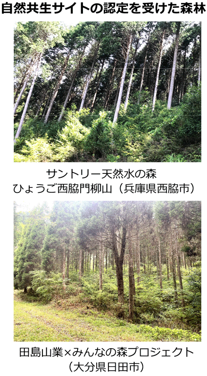 自然共生サイトの認定を受けた森林