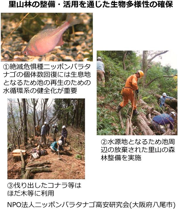里山林の整備・活用を通じた生物多様性の確保