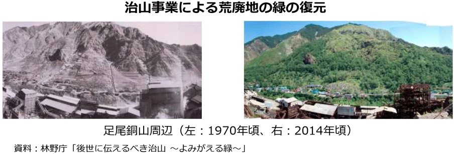 治山事業による荒廃地の緑の復元