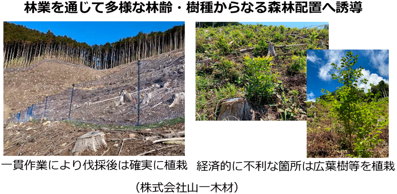 林業を通じて多様な林齢・樹種からなる森林配置へ誘導
