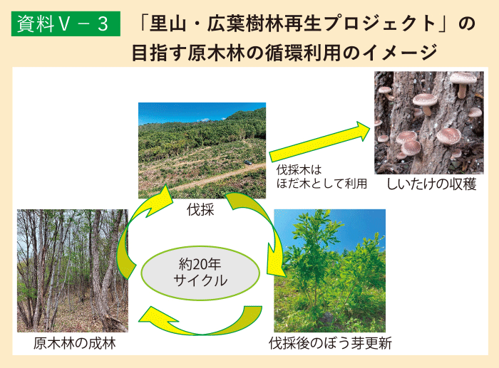資料5-3 「里山・広葉樹林再生プロジェクト」の目指す原木林の循環利用のイメージ