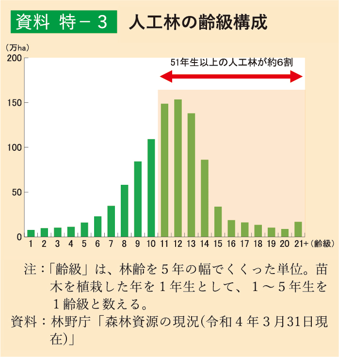 特-3 人工林の齢級構成