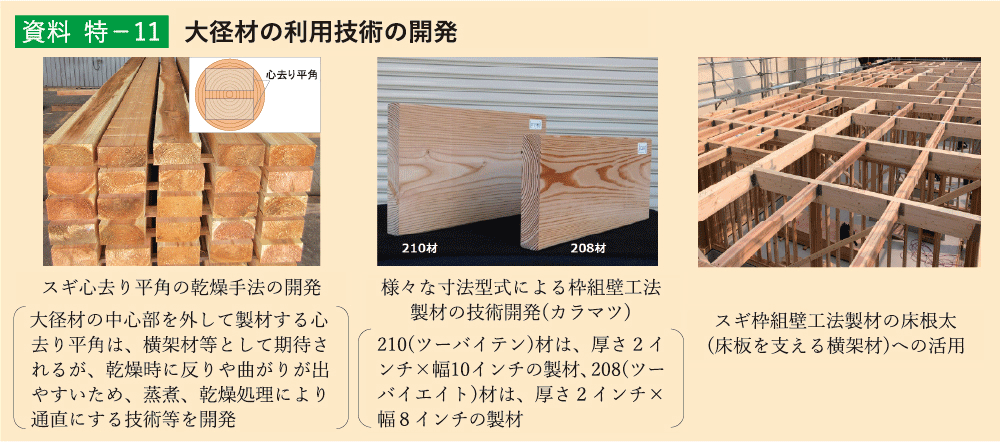 資料 特－11 大径材の利用技術の開発