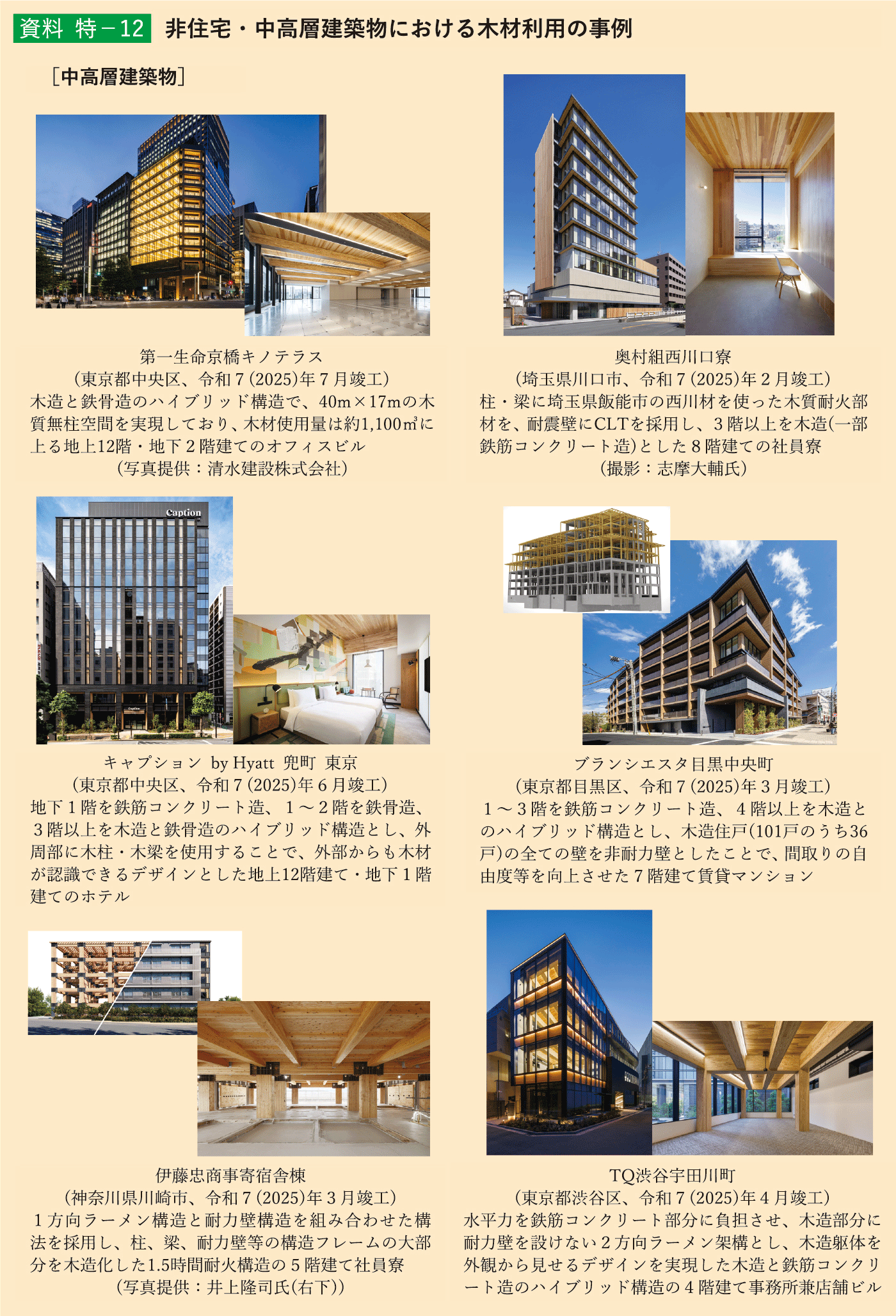 資料 特-12 非住宅・中高層建築物における木材利用の事例1