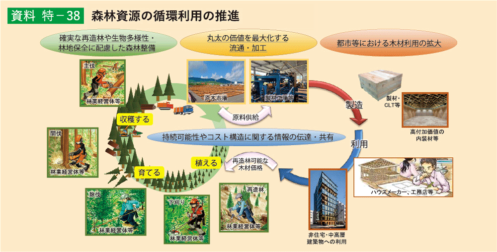 資料 特-38 森林資源の循環利用の推進