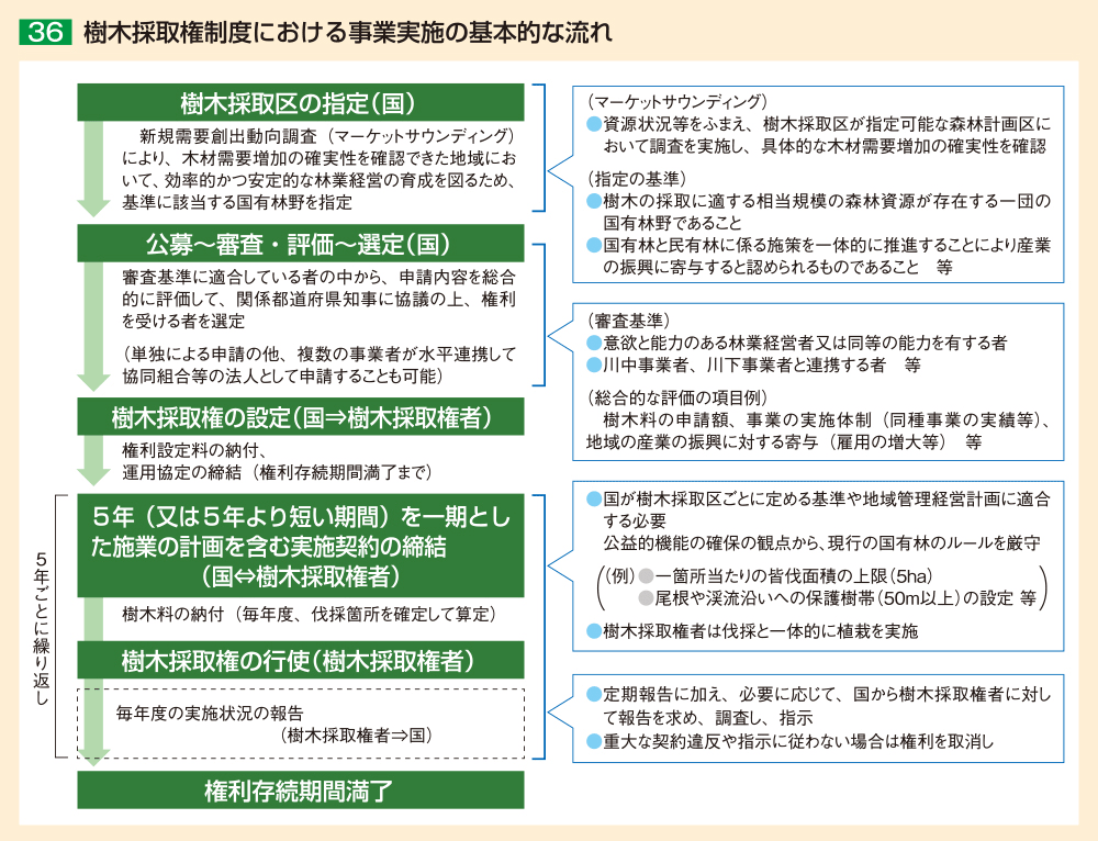 36 樹木採取権制度における事業実施の基本的な流れ