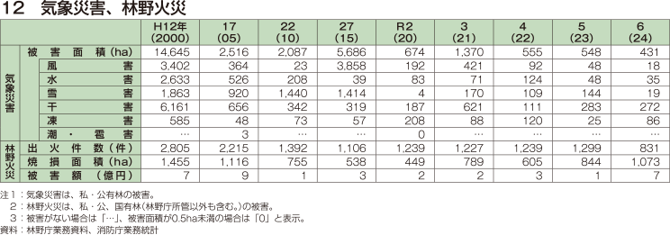 12 気象災害、林野火災