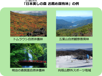「日本美しの森 お薦め国有林」の例