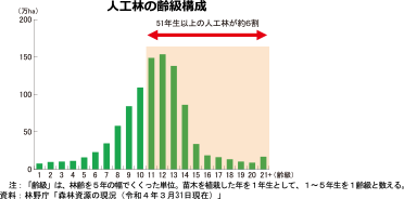 人工林の齢級構成