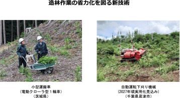 造林作業の省力化を図る新技術