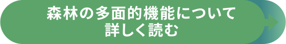 森林の多面的機能について詳しく読む