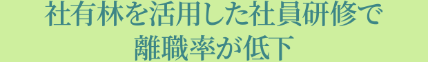 社有林を活用した社員研修で離職率が低下