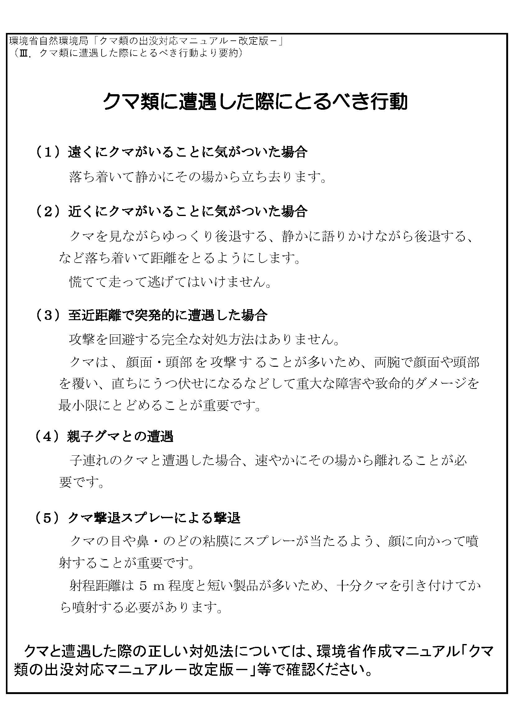 クマチラシ202609_2