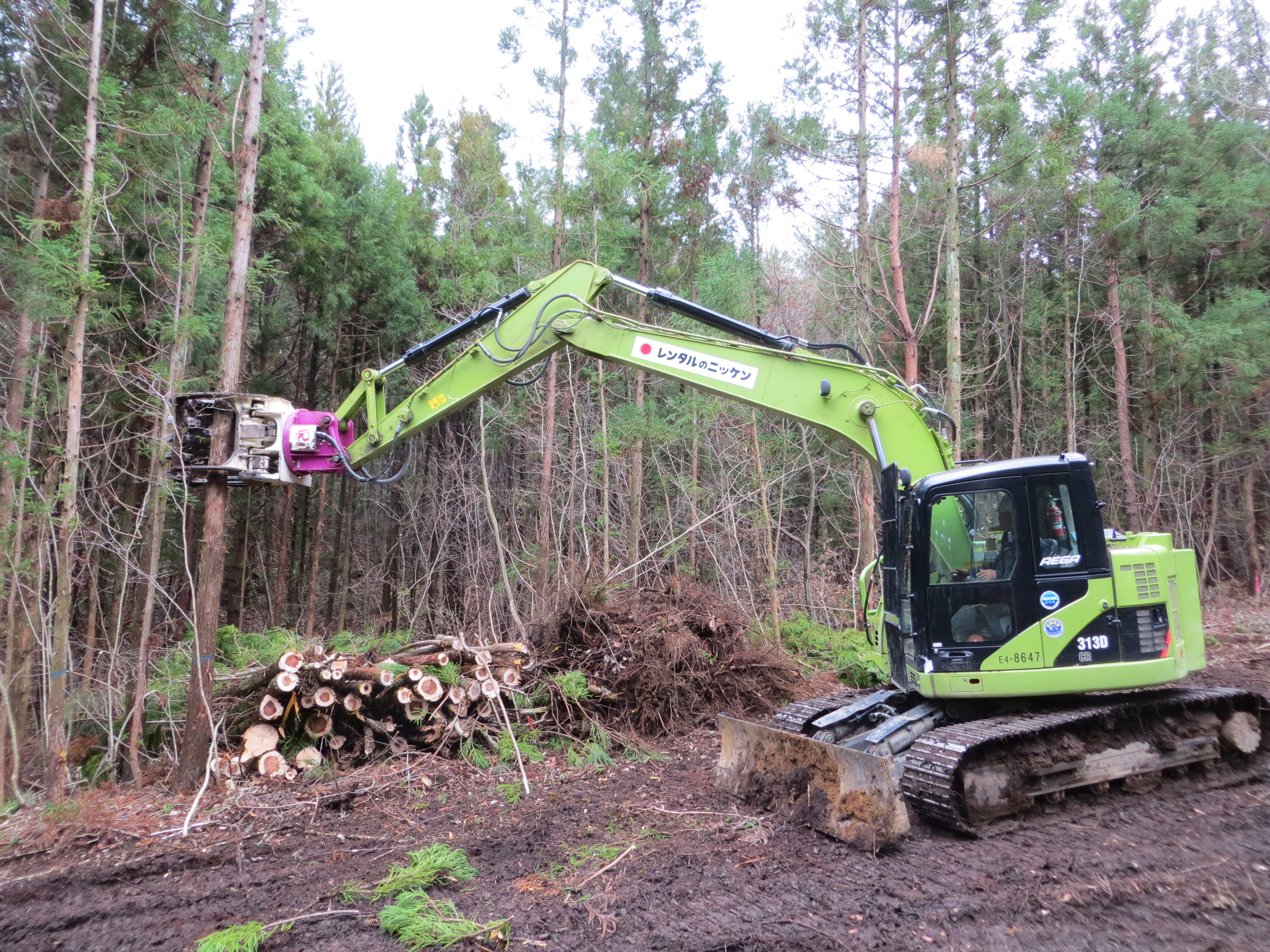 作業者の被ばく低減効果の検証のために高性能林業機械による施業を実施する様子
